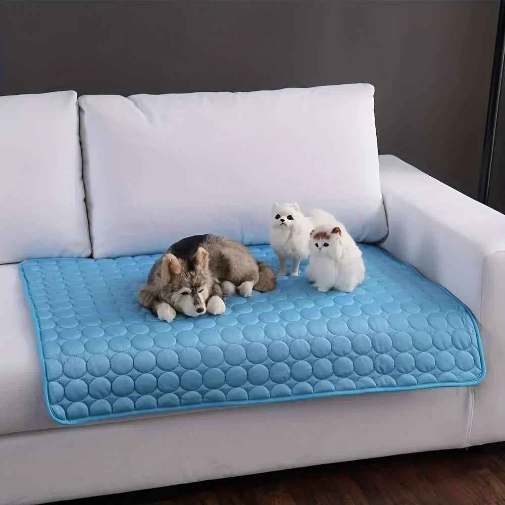 CoolPaws Mat