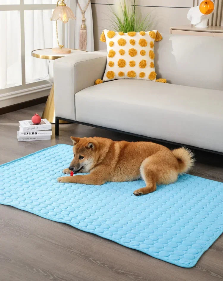 CoolPaws Mat
