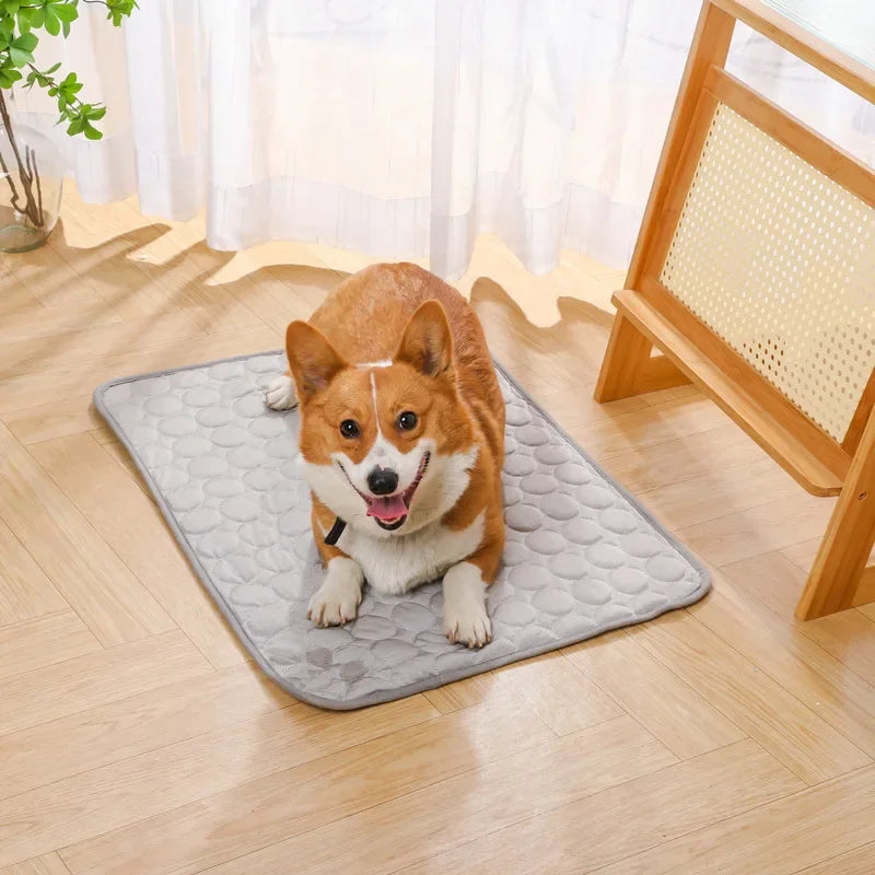 CoolPaws Mat