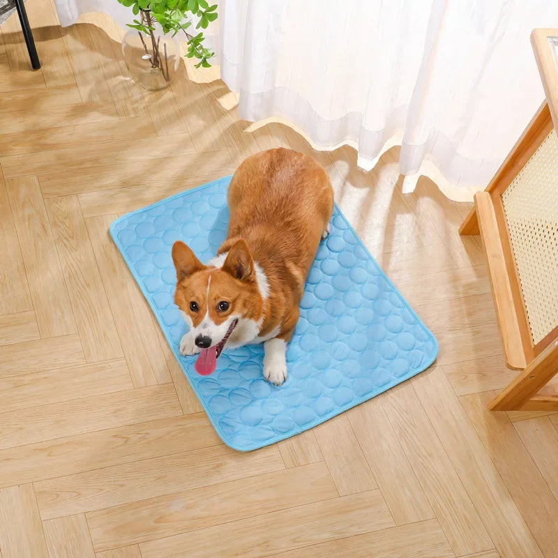 CoolPaws Mat