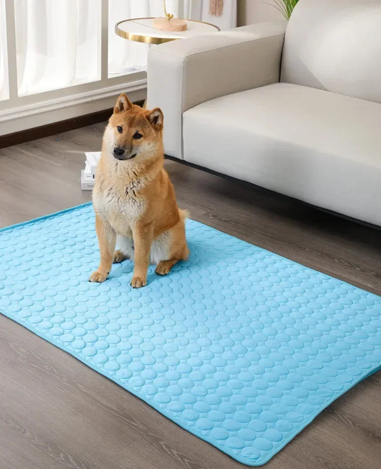 CoolPaws Mat
