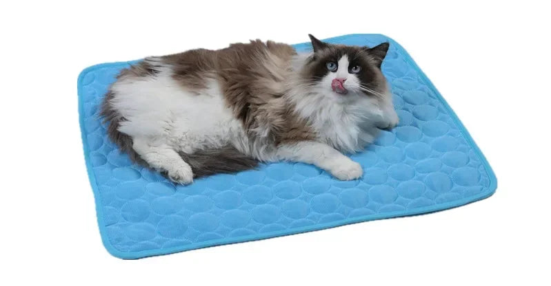 CoolPaws Mat