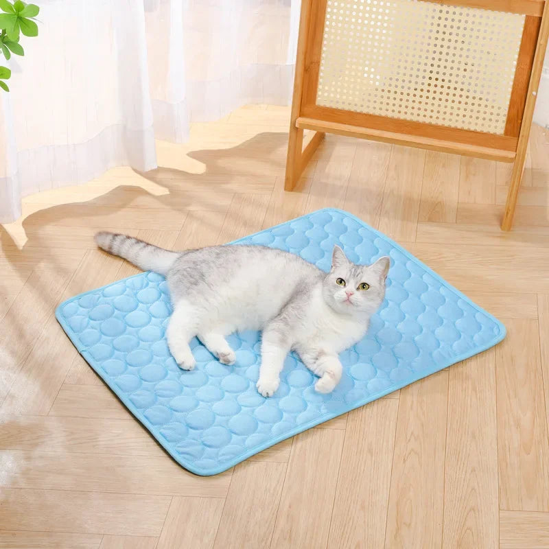 CoolPaws Mat